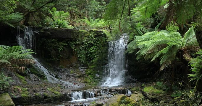 Right to left pan of Horseshoe Falls which is a small waterfall upstream from the famous Russell Falls, with a tiered cascade amid rocks and ferns at Mount Field National Park