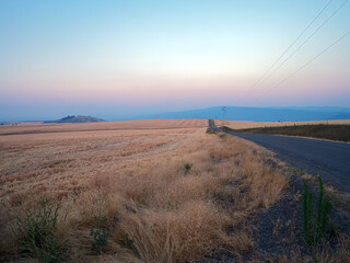 A road runs through the wheat fields at dusk in rural Idaho, USA