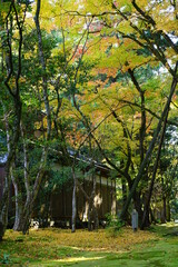 北陸の観光地、秋の那谷寺の境内