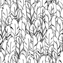 simple monochrome seamless feather illustration © VictoriaBat