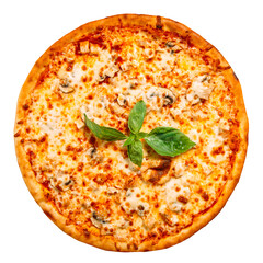 Isolated fresh pizza with mushhrooms and cheese on white background