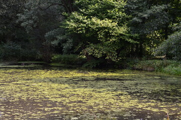 Park am Fluss Böhme in der Kurstadt Bad Fallingbostel, Niedersachsen