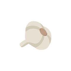 White garlic back side simple vector illustration isolated on white background