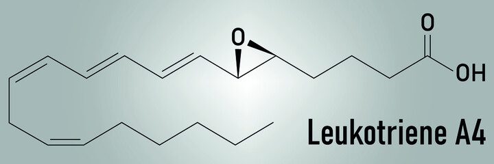 Leukotriene A4 (LTA4) molecule. Skeletal formula.