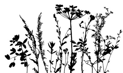 Vector template with leaves and plants monochrome silhouettes, floral background