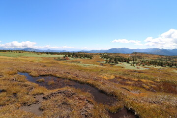 新潟県湯沢の苗場山の登山