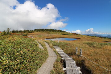 新潟県湯沢の苗場山の登山