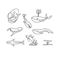 Whales sketch set. Whales vector hand drawn
