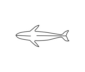 Humpback whale view from the top of the isolation of a white background.