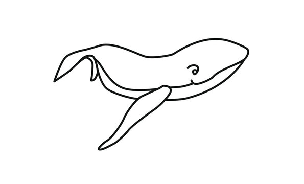 Whale sketch. Whale vector hand drawn.
