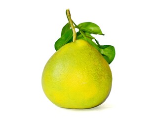 green pomelo citrus on white background citrus maxima