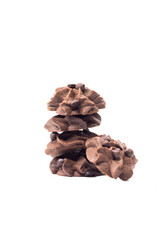 pine cone isolated on white background