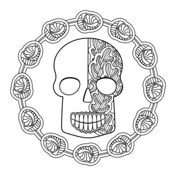 Coloring book for adults. Skull, Oak leaves and acorns . Hand drawn vector illustration.