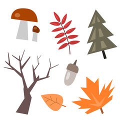 Autumn forest set with different nature objects in flat style