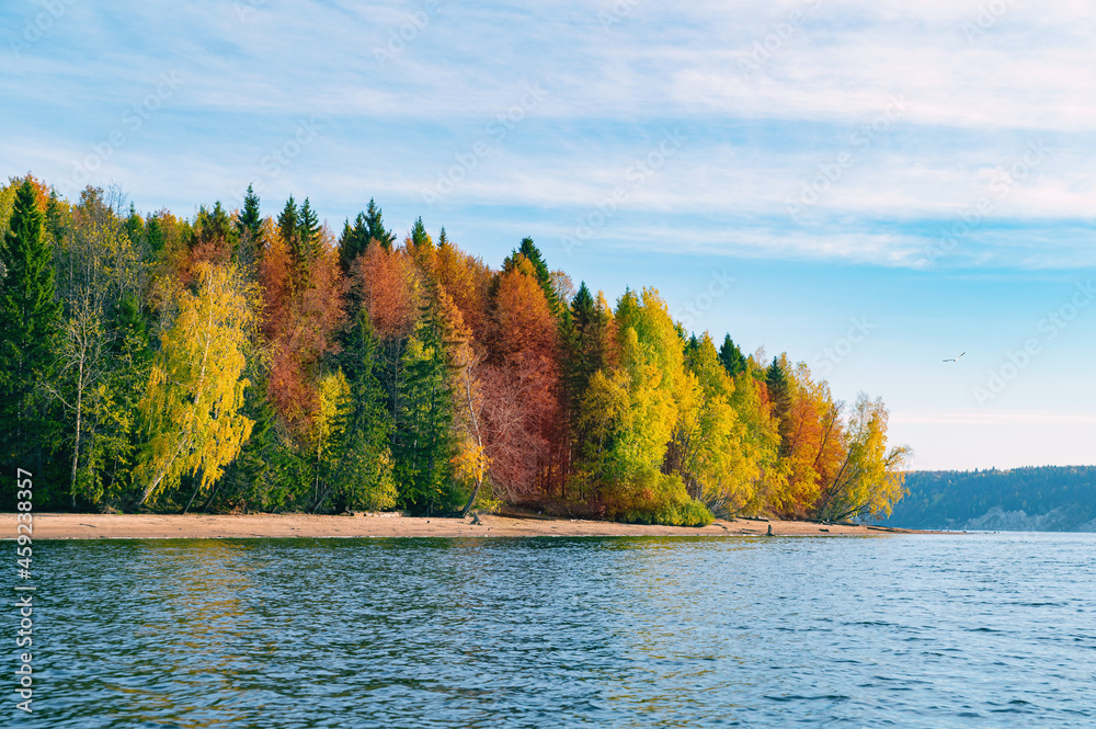 Wall mural panoramic view of the bright colorful trees along the bank of the kama river russia perm krai. autum