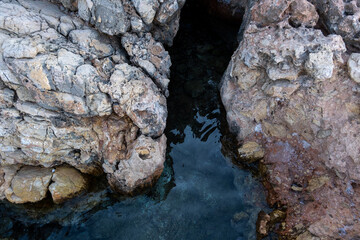 tree trunk in a cave