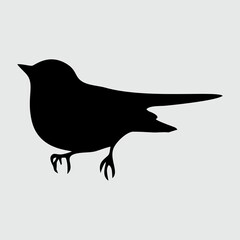 Bird Silhouette, Bird Isolated On White Background