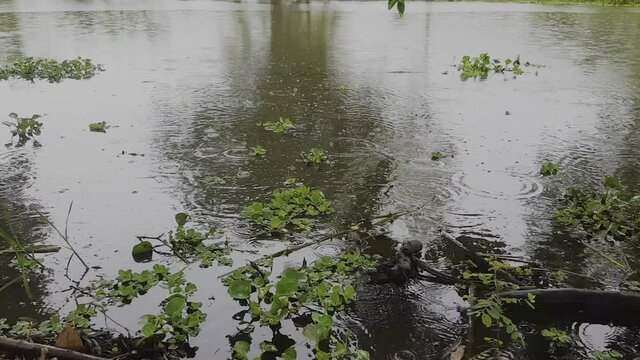 In the canal there is a drizzle.