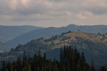 Obraz premium mountain slopes in the Ukrainian Carpathians. mountain tops and forests on a background of blue sky