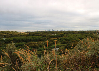 Blick auf Den Haag von den Ostdünen in Scheveningen, Niederlande