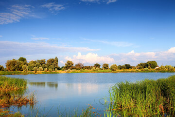 Lake in summer time, rural landscape