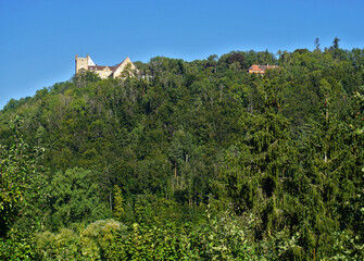 Fototapeta premium Schloss Weitenburg im Neckartal; Landkreis Tübingen; Baden Württemberg; Deutschland