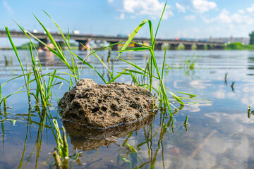 Lonely weathered stone lying in the river against the background of the bridge