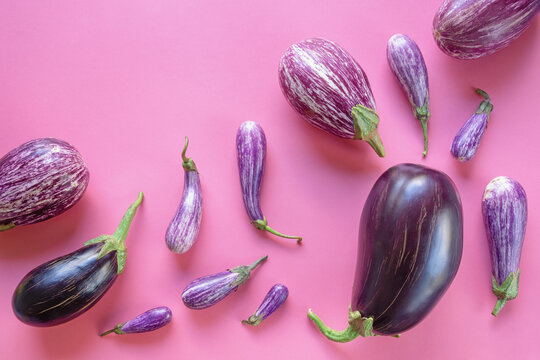 Different Varieties Of Eggplant On Pink Background. Flat Lay, Free Space For Text