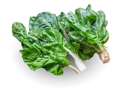Balkan cuisine. Blitva ( chard leaves ) is popular leafy vegetables.  Isolated on white background