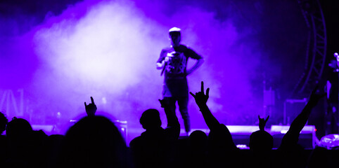 crowd at concert and silhouettes in stage lights