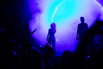 crowd at concert and silhouettes in stage lights
