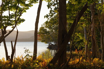 秋の斜陽の人の居ない湖畔の森。愁いの或る穏やかな雰囲気。