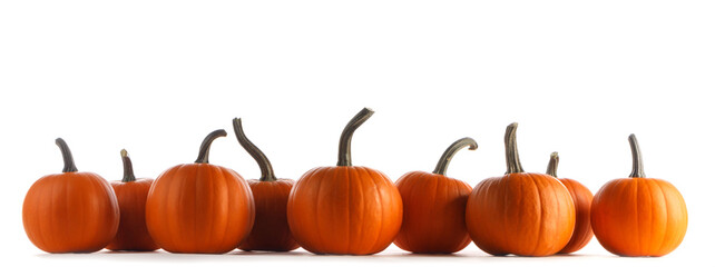 Pumpkins in a row isolated on white
