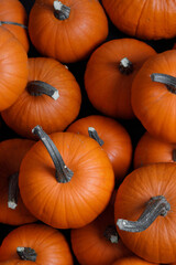 Orange pumpkins background
