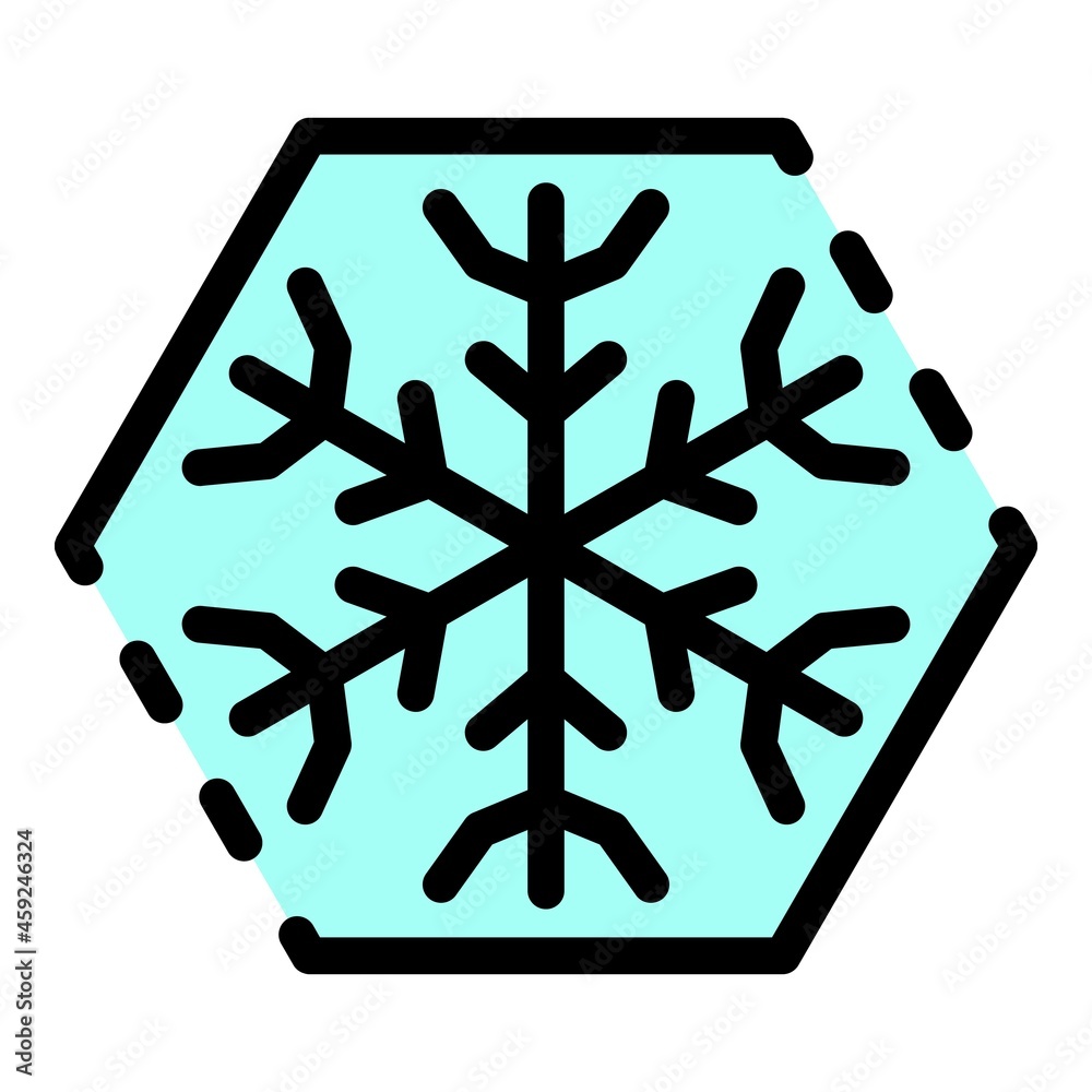 Poster snowflake in a hexagon icon. outline snowflake in a hexagon vector icon color flat isolated
