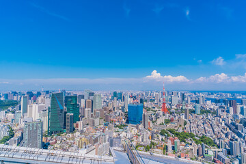 Fototapeta na wymiar Skyscrapers in Tokyo on a sunny day