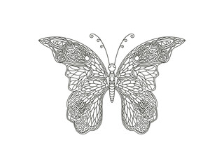 butterfly hand drawing art with zentangle style
