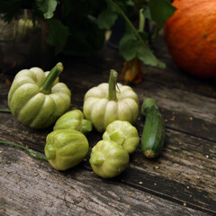 dynie zielone jesień © Lula4ever