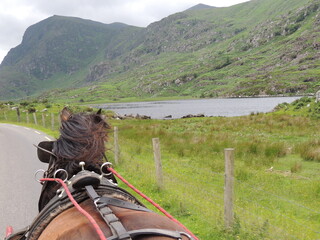 Ruta en carruaje de caballo por las tierras irlandesas.