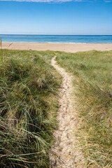 Fototapeta na wymiar path to the beach at the north sea coast in Denmark