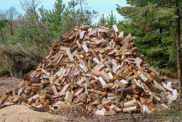 stack of firewood