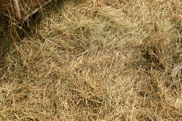 Hay background. The natural texture of dry straw. Agriculture farm and farming symbol of harvest time. Harvesting in agriculture.