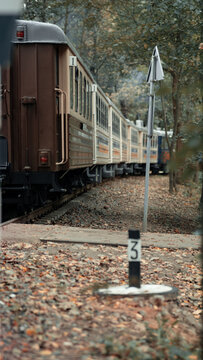 Train, Train in the forest, lonely train, lonely train in the forest, autumn train, children's train, children's railway