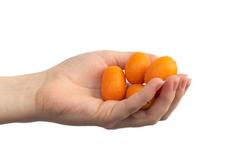 Small citrus kumquats in woman hand isolated on a white background photo