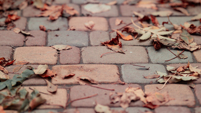 Brickwork, brickwork and leaves, kipichi in autumn, scorched foliage in autumn, autumn