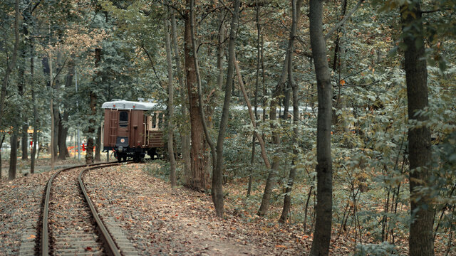 Train, Train in the forest, lonely train, lonely train in the forest, autumn train, children's train, children's railway