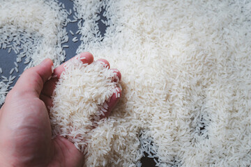 Hand holding jasmine rice. jasmine rice on wooden plate. farmer's produce. Asian food.