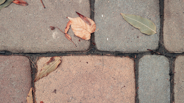 Brickwork, brickwork and leaves, kipichi in autumn, scorched foliage in autumn, autumn