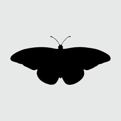 butterfly, butterfly vector, butterfly silhouette, butterfly isolated, nature, silhouette, art, design, natural, fly, beautiful, decoration, black, background, illustration, white, graphic, isolated, 