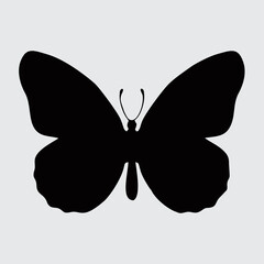 butterfly, butterfly vector, butterfly silhouette, butterfly isolated, nature, silhouette, art, design, natural, fly, beautiful, decoration, black, background, illustration, white, graphic, isolated, 
